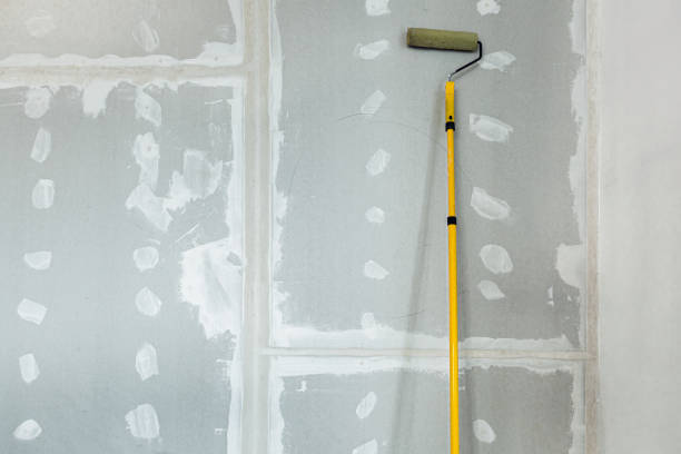 Best Drywall Sanding and Smoothing  in Des Allemands, LA