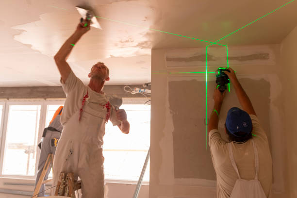 Best Drywall for New Construction  in Des Allemands, LA